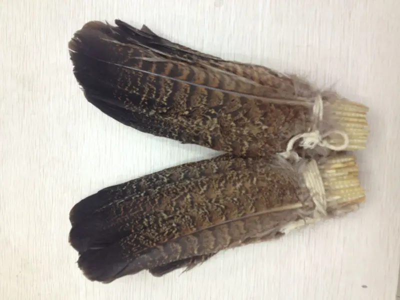 wholesale high quality 10pcs natural eagle feather 20-25cm / 8-10inch various decorative diy collect