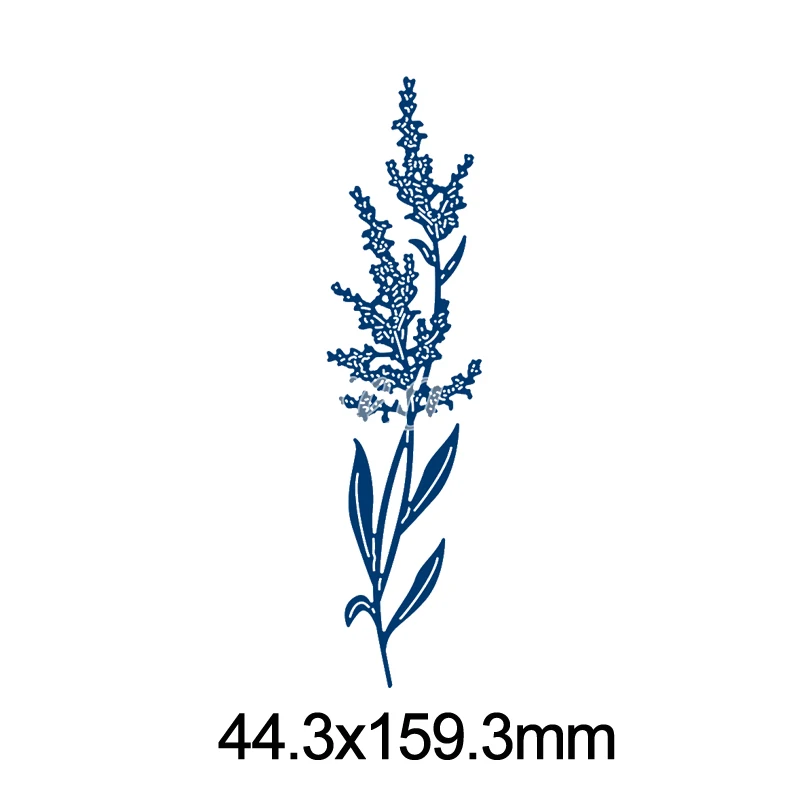 Lavender Plants Met…