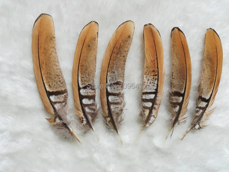 50Pcs 8-10cm/10-14cm BEAUTIFUL REEVES VENERY PHEASANT Tail Feathers,Loose Reeves Pheasant Feathers ,plumas de avestruz