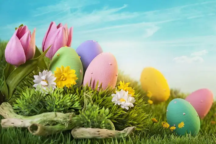 

VinylBDS 7X5FT Easter Photography Backdrop Spring Eggs Children Backgrounds For Photo Studio