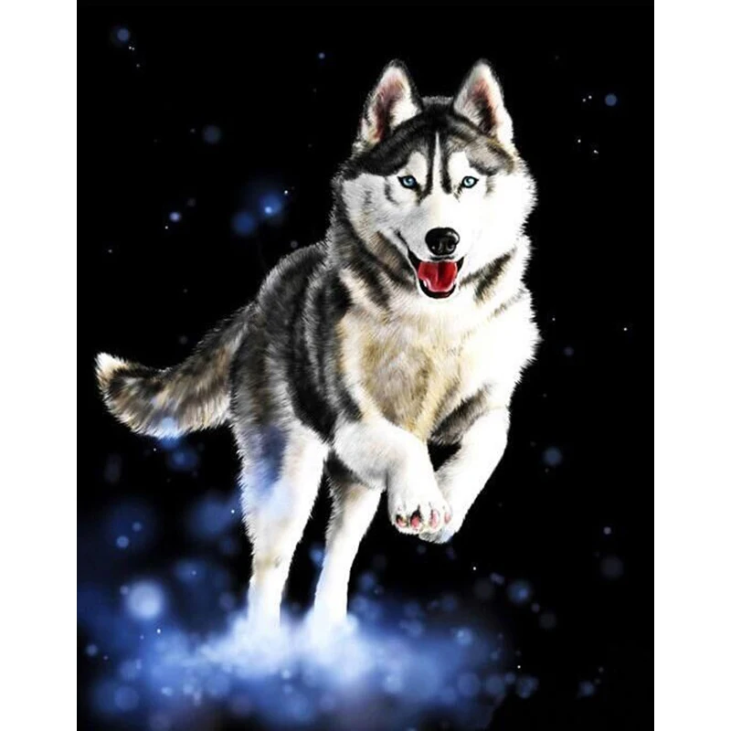 

Running Husky dog,5d diamond Embroidery diy diamond painting animal cross stitch for children puzzle mosaic crafts NEW1849