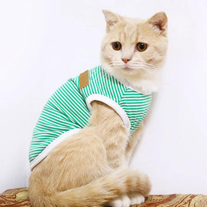 Clássico listra roupas de gato de estimação para gatos verão cão gato colete camisa katten kleding kedi terno bens para animais de estimação gatos traje roupas