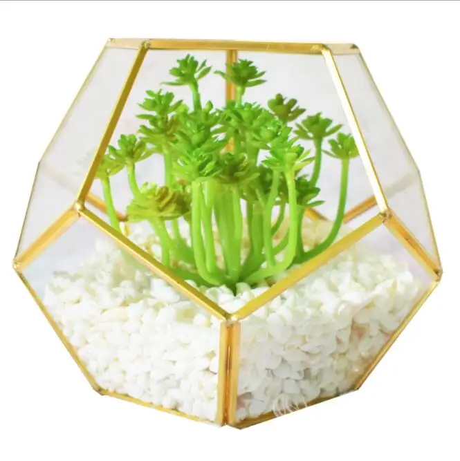 Gold Glass Pentagon Geometric Terrarium Container Window Sill Decor Flower Pot Balcony Planter Diy Display Box (No Plant)