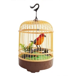 Children Electric Acoustic Small Cage Music Toy Movement Parrot Will Call Educational Sounding Battery Operated Unisex 2021