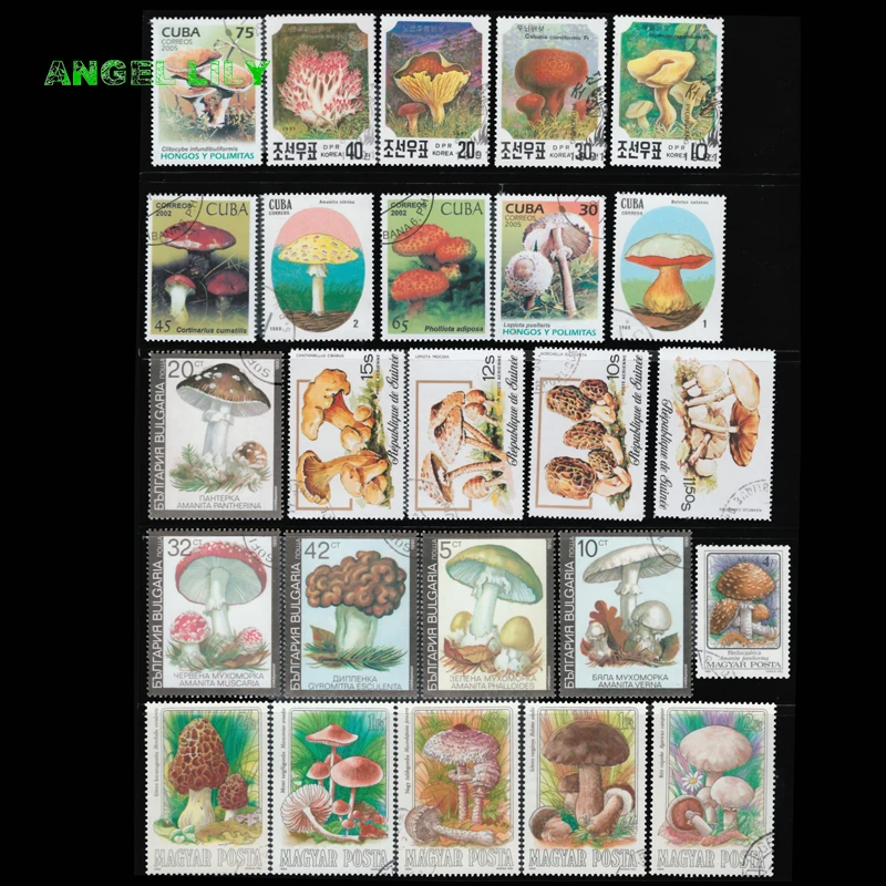 Topic Mushroom 10/50/100 PCS/lot From The World Wide  With Post Mark Postage Stamps For  Collecting