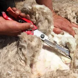 Sheep Clippers Wool Cutter Shears Goat Scissors Shears Spring Scissors Pet Cut Hair Wool Clipper Sheep Shearing Machines Tools
