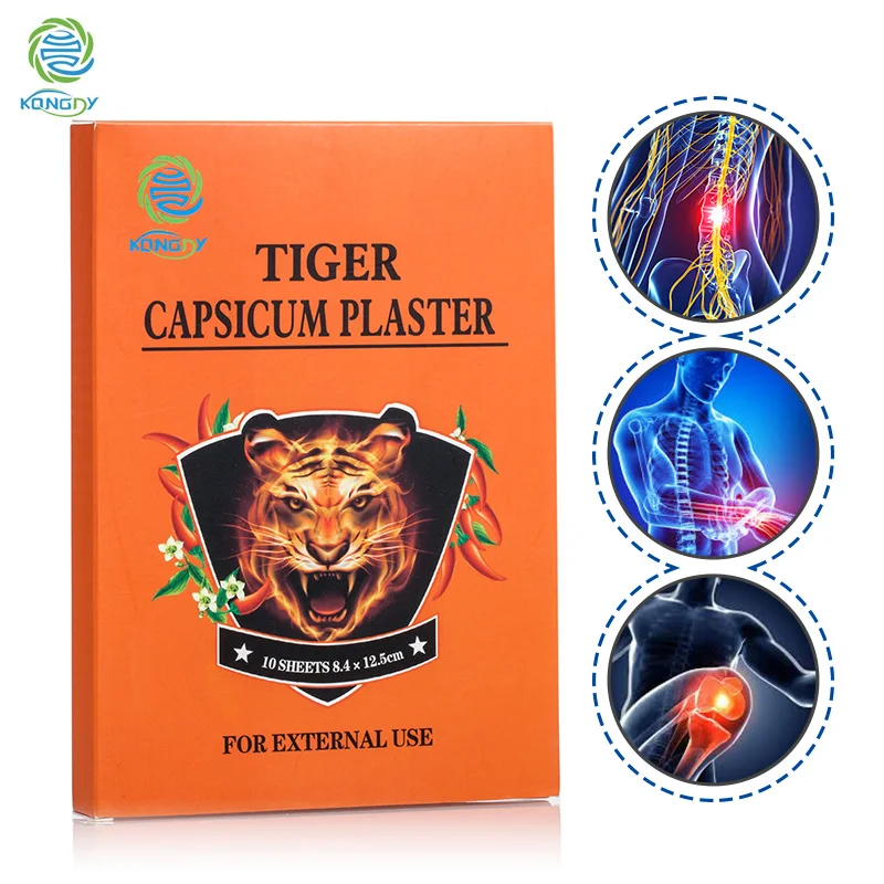 KONGDY 20 Pieces=2 Boxes Porous Tiger Capsicum Plaster Rheumatoid Arthritis Severe Pain Relief Patch Healthy Care Plaster