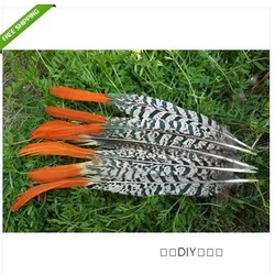 2 PCS beautiful natural pheasant feather  20-25cm / 8-10inches