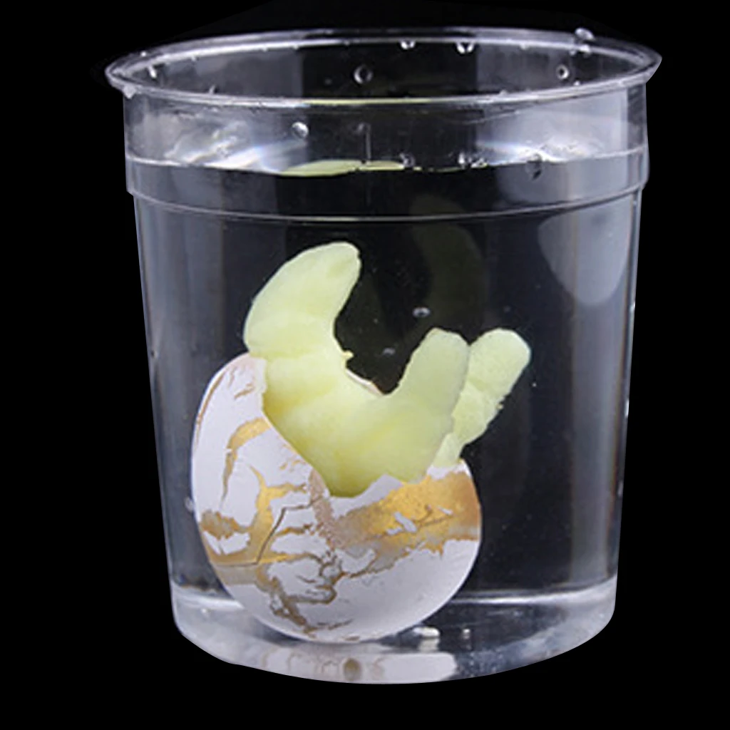 Cute Magic Easter Egg Black Add Water Dinosaur Eggs Hatching Growing Dino Toy Educational Toys for Kid Children Birthday Gift