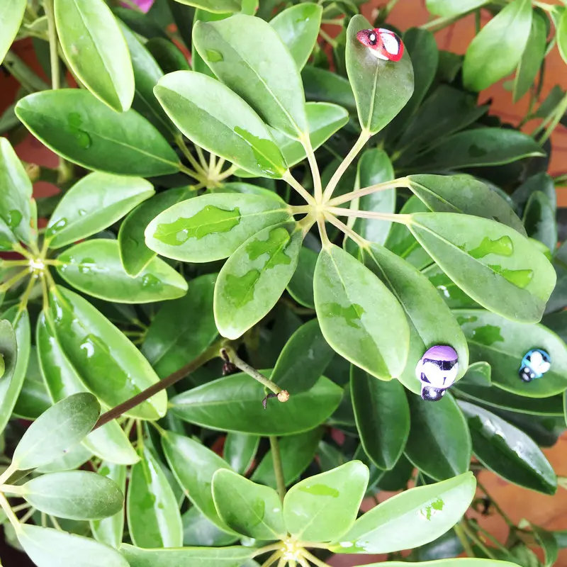 500 stks/partij, Kleurrijke bijen hout stickers Pasen ambachten Plant decoratie Lente ornament Kleuterschool kunsten en ambachten Groothandel