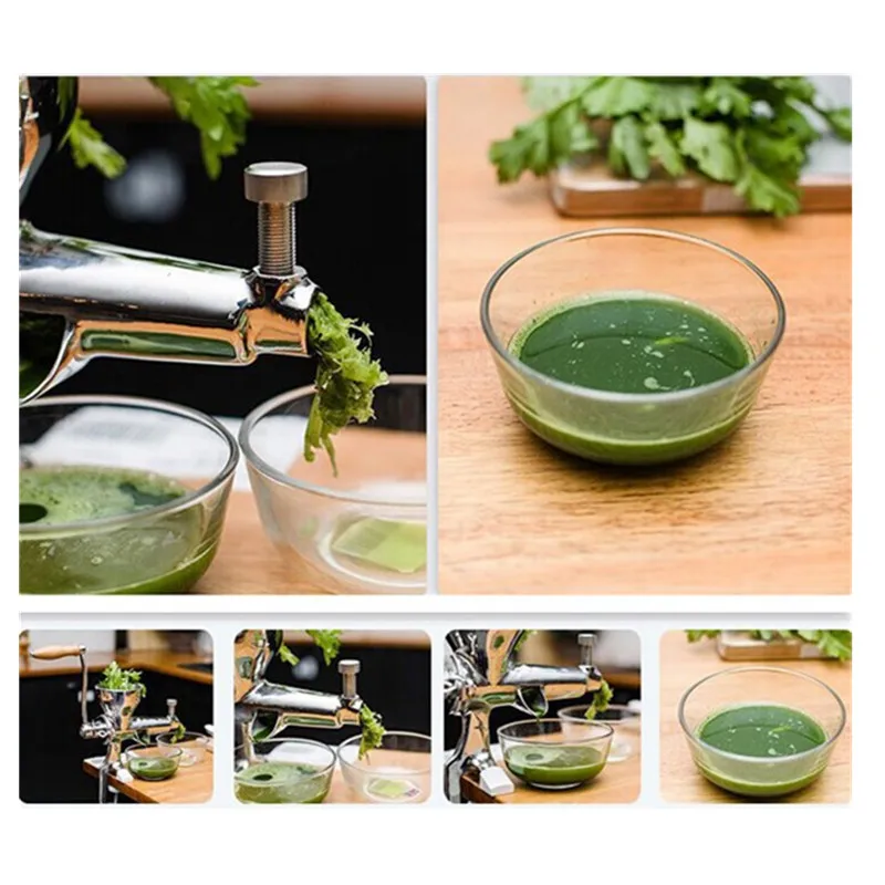 Hand stainless steel wheatgrass juicer manual auger slow squeezer fruit wheat grass vegetable orange juice press extractor