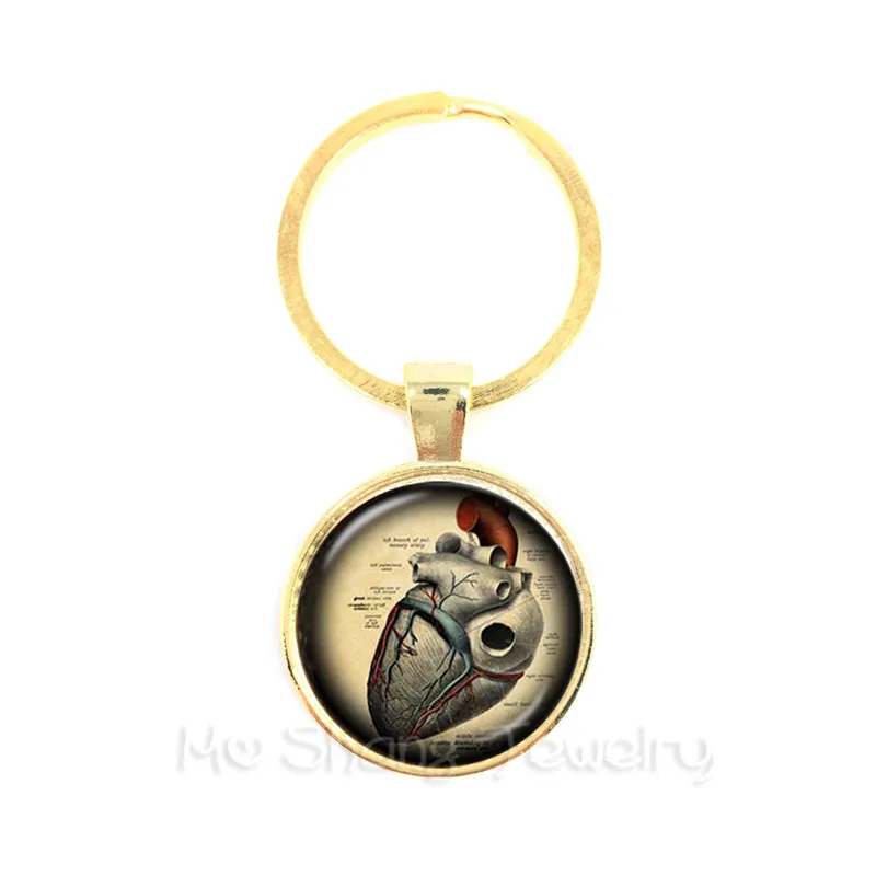 Steampunk Human Anatomy Keychain Glass Cabochon Science Medical Punk Keyring Glass Dome Brain Eye Jewelry Key Holder