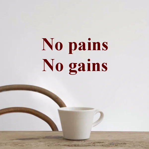 

No Pains No Gains Famous Words Stickers Bedroom Wallpaper Wall Decal Kids Baby Rooms Decor Vinyl Wall Sticker