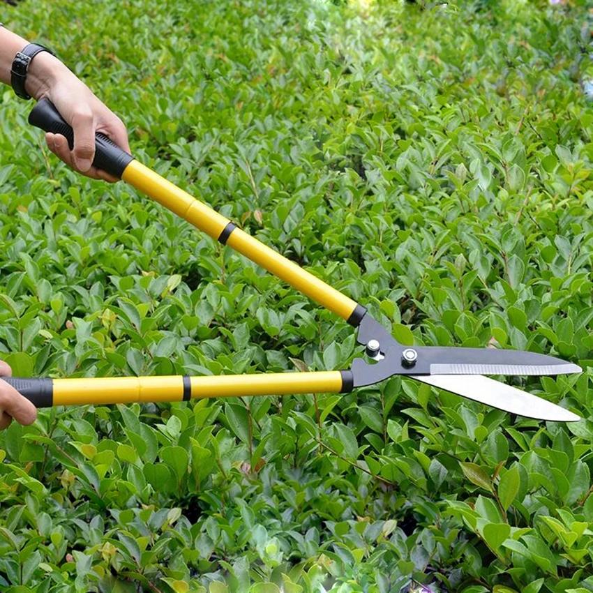 Tijeras de podar árboles frutales, podadoras de mango largo, herramientas de jardín, tijeras de jardinería, herramientas de injerto