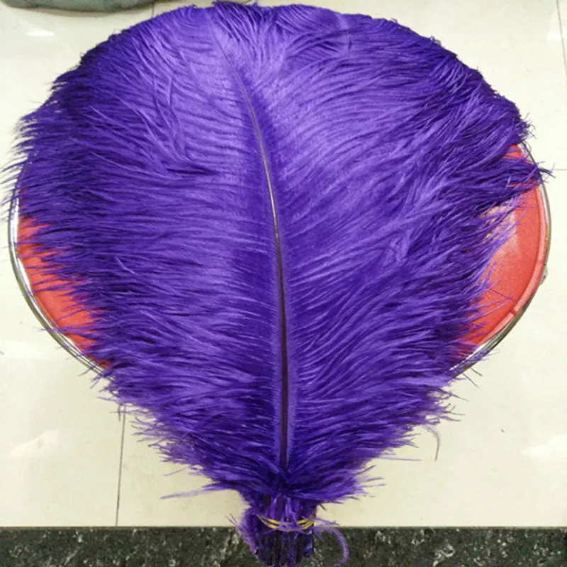 10 PCS natural purple ostrich feather 45-50 cm / 18 to 20 inches ostrich plumage performance headwear clothing plumes decoration