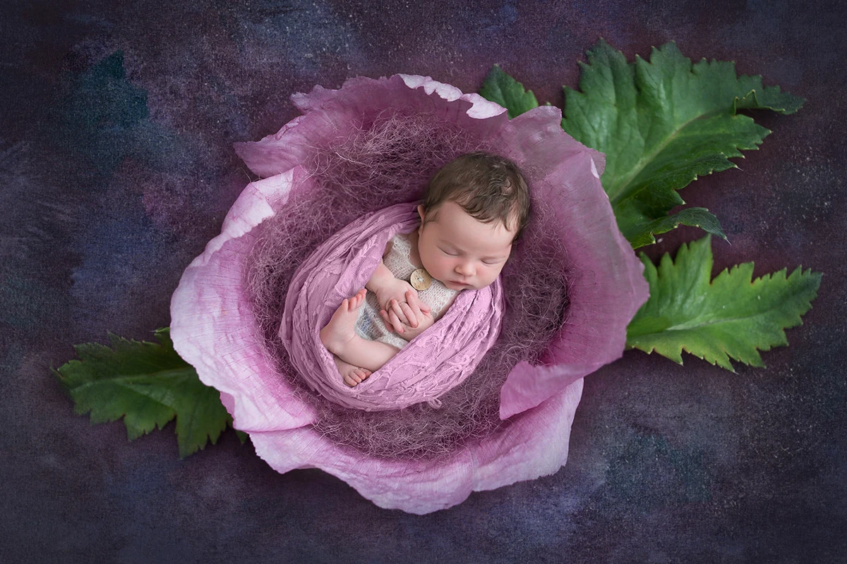 ไวนิลการถ่ายภาพฉากหลังทารกแรกเกิดอาบน้ำเก่า Master ภาพพื้นหลังสตูดิโอสีทึบ Photocall Photophone