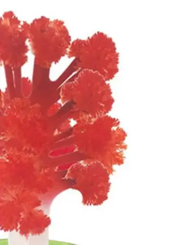 2019 120mm H Visual Red Magic Growing Paper Maple Crystals Tree Mystic Coral Trees Sweet Viburnum Kids Toys For Children Christ