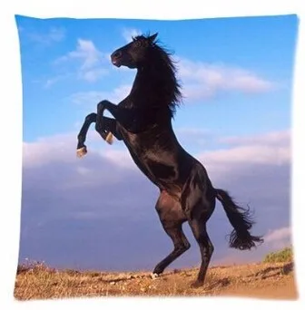 

Free Shipping Awesome Cute Horse Animal Custom Square Zippered Throw Square Pillowcases Multi-size Choice Nice Gift