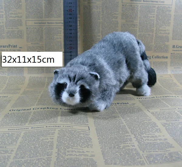 large 32x11x15cm simulation gray raccoon hard model plastic&furs raccoon prop,home decoration toy gift s2285