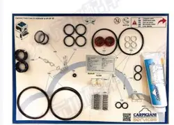 CARPIGIANI IC193014363 KIT K503/SP 6 MONTHS