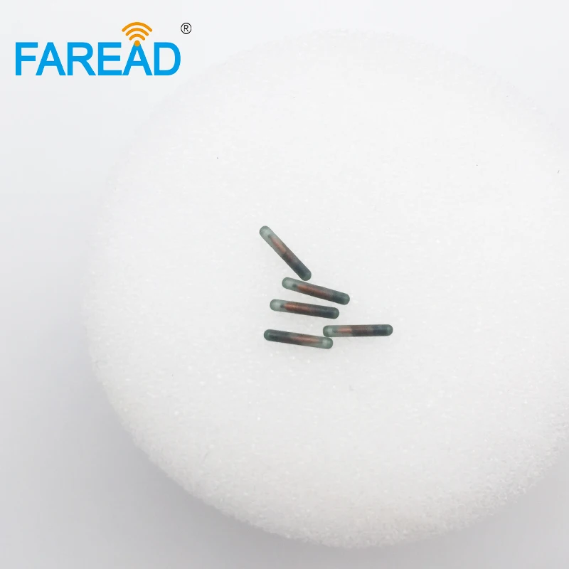 80pcs 1.4*8mm 134.2KHz 애완 동물 ID 태그 EM4305 RFID 마이크로 칩 동물 칩 트랜스 폰더 개를위한 ICAR 번호 코딩 물고기 가축