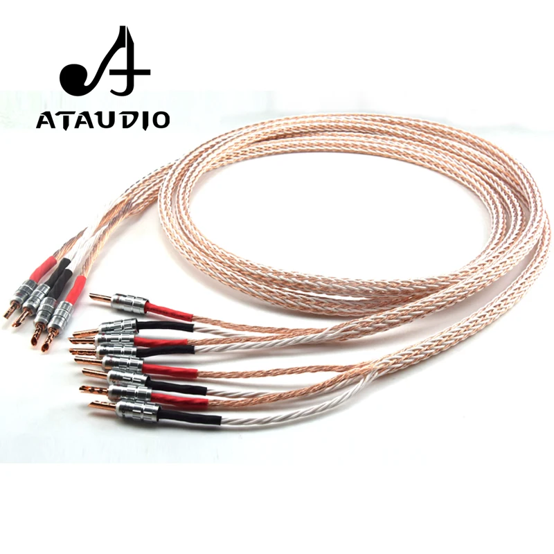 ATAUDIO 12TC Hifi Speaker Cable With 2 Banana Plug to 4 Banana Jack Hi-end OCC Speaker Wire