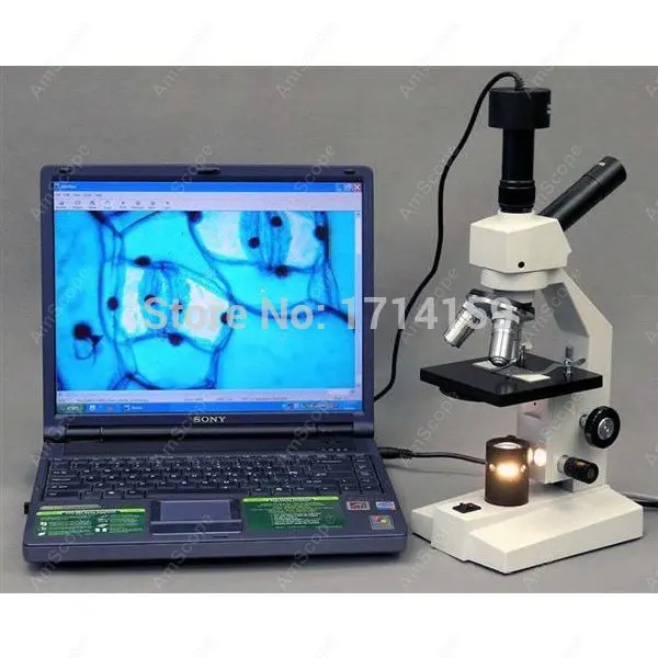 Teaching Training-AmScope Supplies Dual-View Compound Microscope 40x-1000x Microscope