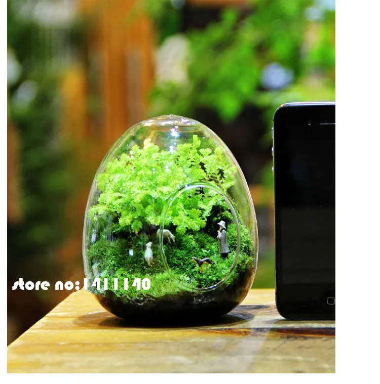 6pcs egg shape type Aquiculture Container Glass Vase Flower Plant Water Container Family Wedding Decoration