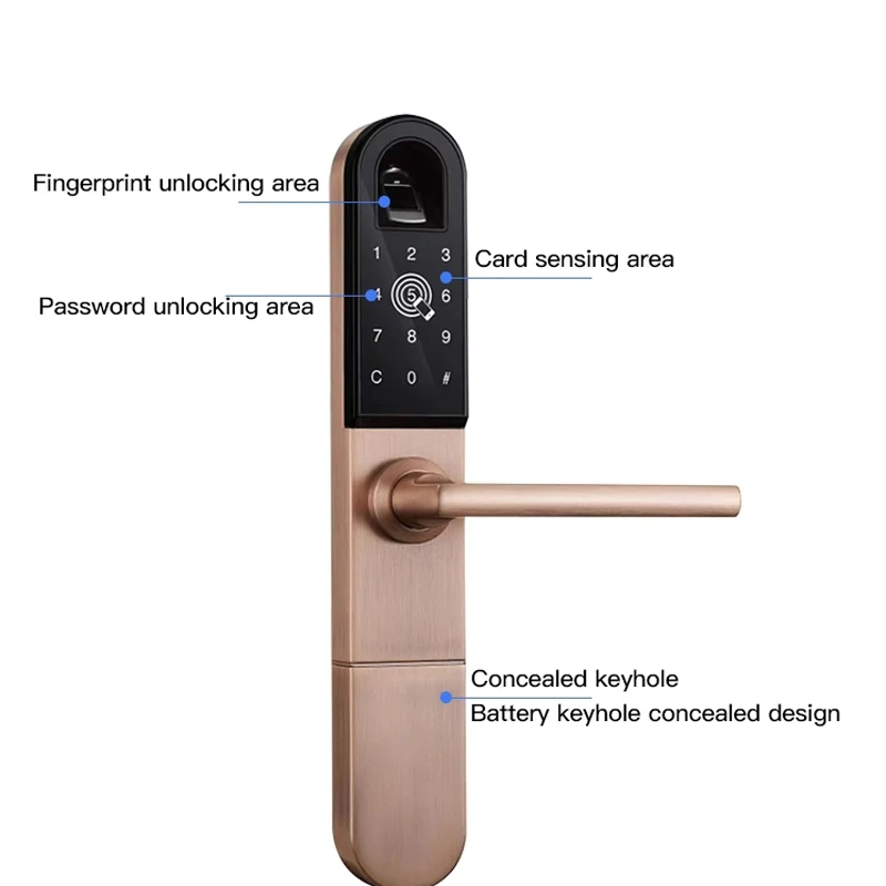 Imagem -03 - Fechadura de Porta com Impressão Digital Bluetooth Wi-fi para Porta Deslizante ou Balanço com 3585 Espiga para Uso ao ar Livre