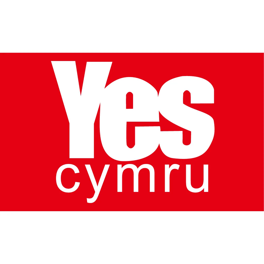 YES Cymru Flags and Banners 90*150cm/60*90cm Big Flag 3X5ft Home Decorations