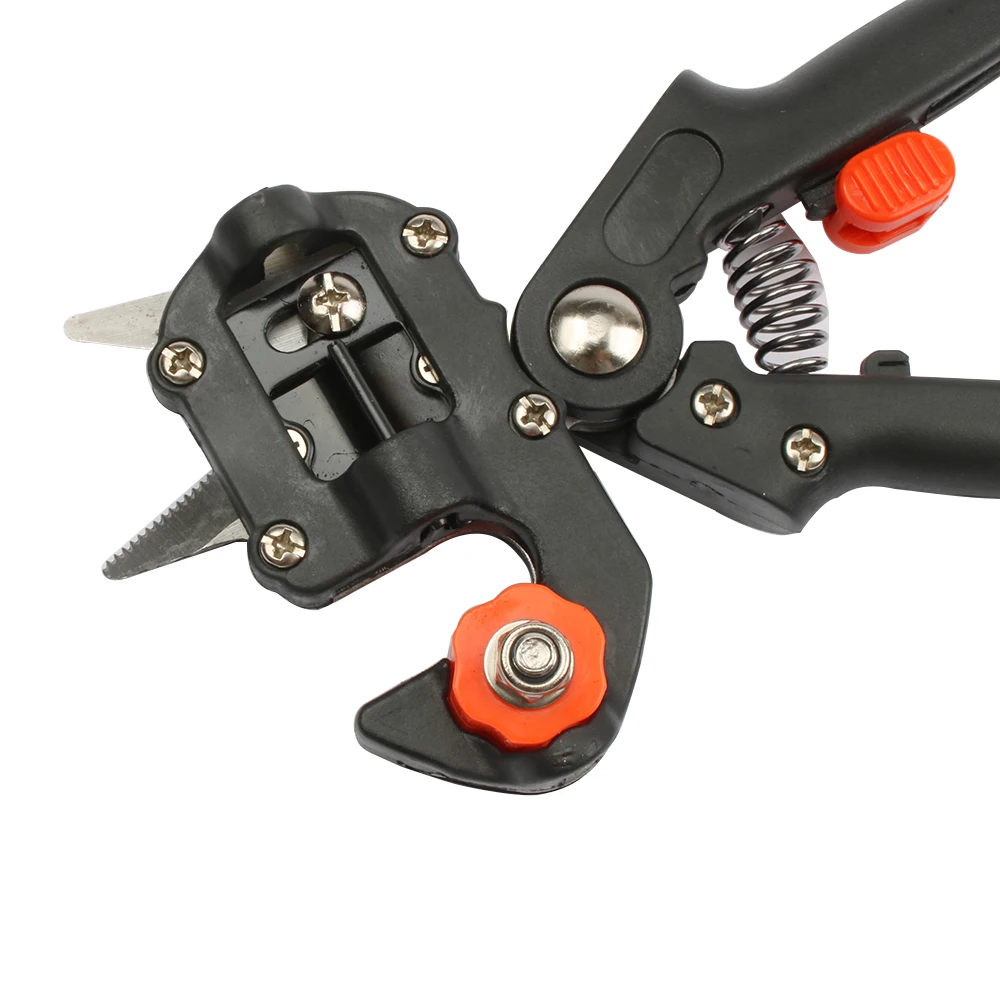 Cisailles Professionnelles pour la Vaccination des Arbres Fruitiers, Outils de Jardin, Sécateur, Ciseaux de Greffe, Couteau de Coupe