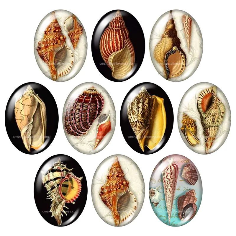 Beauty Fish conch steamship animals 10pcs 13x18mm/18x25mm/30x40mm Oval photo glass cabochon demo flat back Making findings