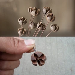New Dried Cross Plant Fruits Flower Nutshell Handmade candy box Christmas Wedding decoration DIY flower arrangement Accessory 10