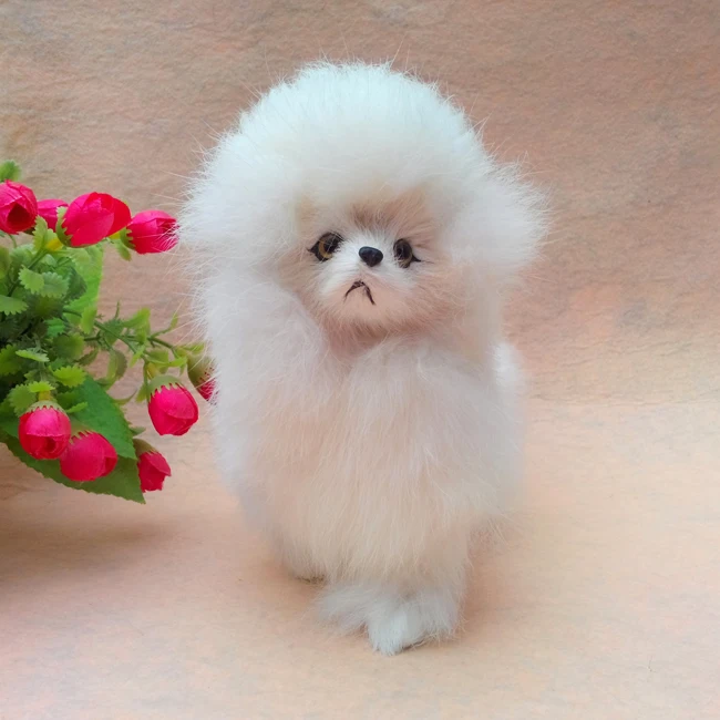 

Имитационная модель пуделя 18x9x16 см, забавный подарок, полиэтилен и искусственный мех, вес около 200 г - забавная и милая коллекционная фигурка пуделя