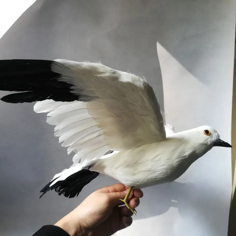 

real life Bird feathers seagull Bird large 35x60cm spreading wings seagull,garden decoration filming prop gift h1455