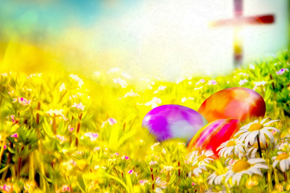 Easter Eggs Meadow Fotoachtergrond Photographic Background Baby Shower Backdrop E190127A106