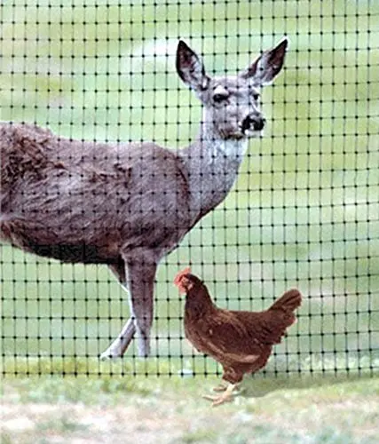 Heavy Anti Bird Netting, Deer Fence, Garden Fence and Crops, Protective Fencing Mesh, Anti Bird Deer, Cat and Dog, Chicken Net