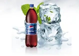 Armoire de refroidissement verticale pour boissons, 600l, 2 portes, usage commercial