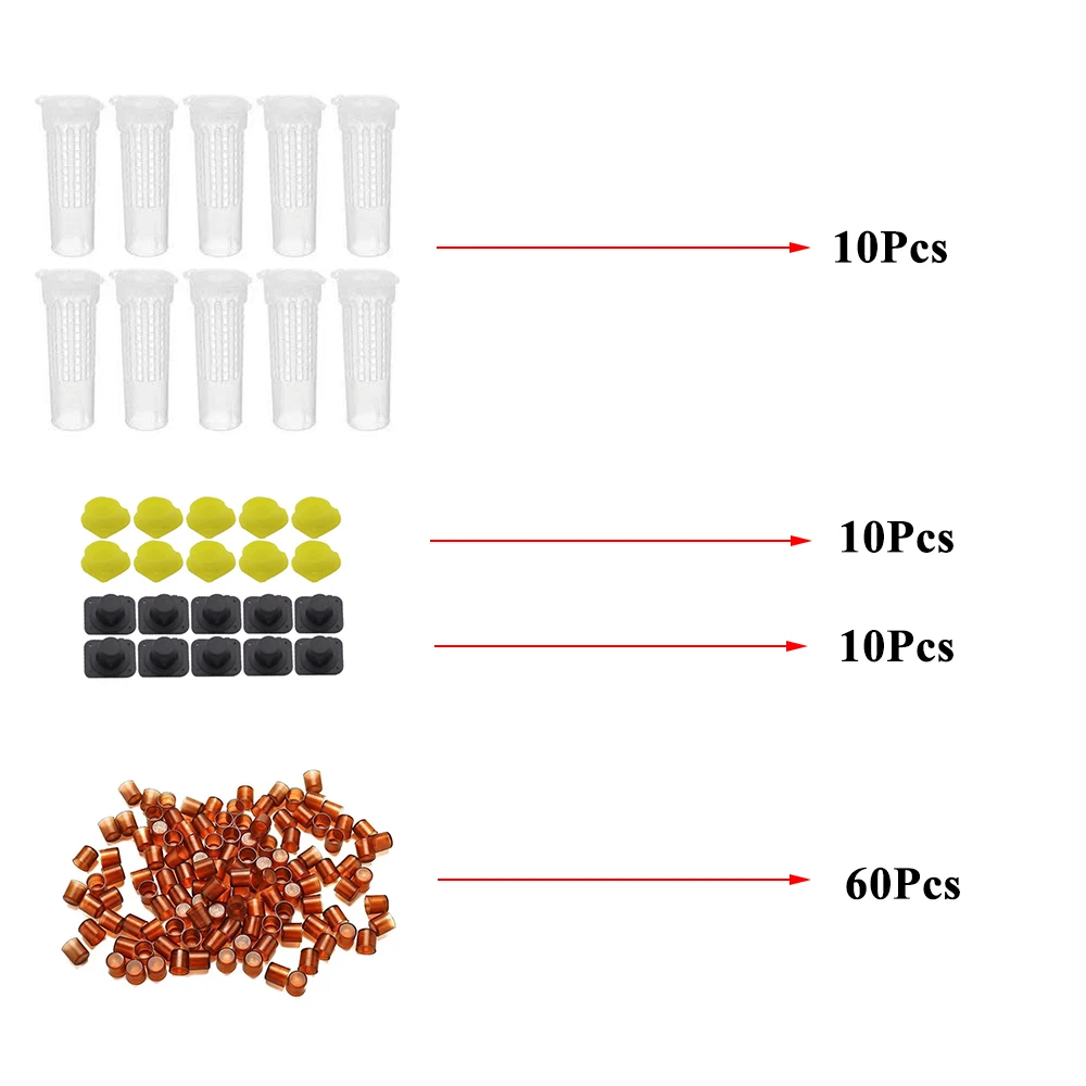 1SET Queen Rearing Complete Kit System New King Beekeeping Plastic Queen Cells Cell Cages Agriculture Bees Tools Protection Box