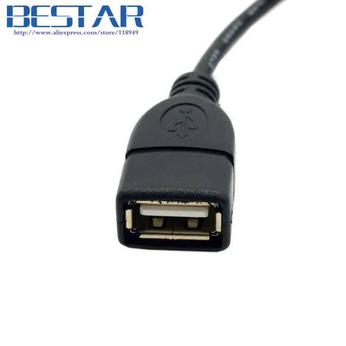 Mini USB Type A & Type B to USB Female OTG Cable for Handycam DV DC & Tablet