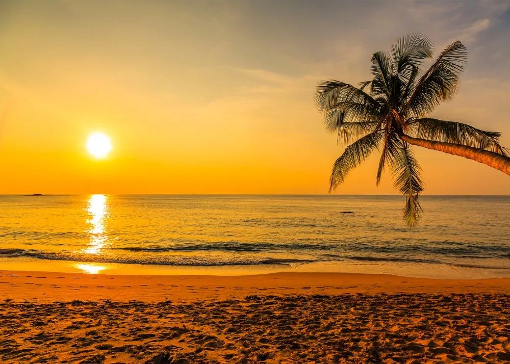 Capisco Tropical Summer dusk Sea Beach Palm Tree Holiday Scenic Photo Backgrounds Photo Backdrops Photocall Photo Studio