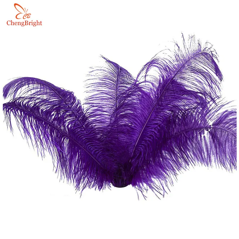 ChengBright 10Pcs/Lot Purple Natural Ostrich Feathers For Crafts 15-75CM Carnival Costumes Party Home Wedding Decorations Plumes