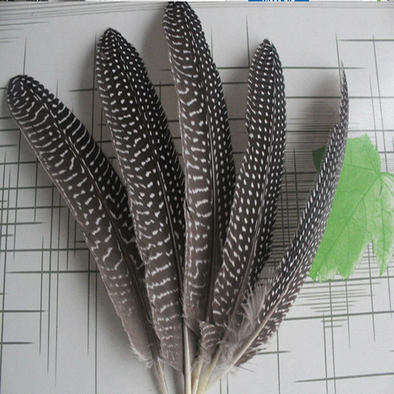 Wholesale! Natural 1000pcs guinea fowl feather wings 15-20 cm / 6 to 8 inches long