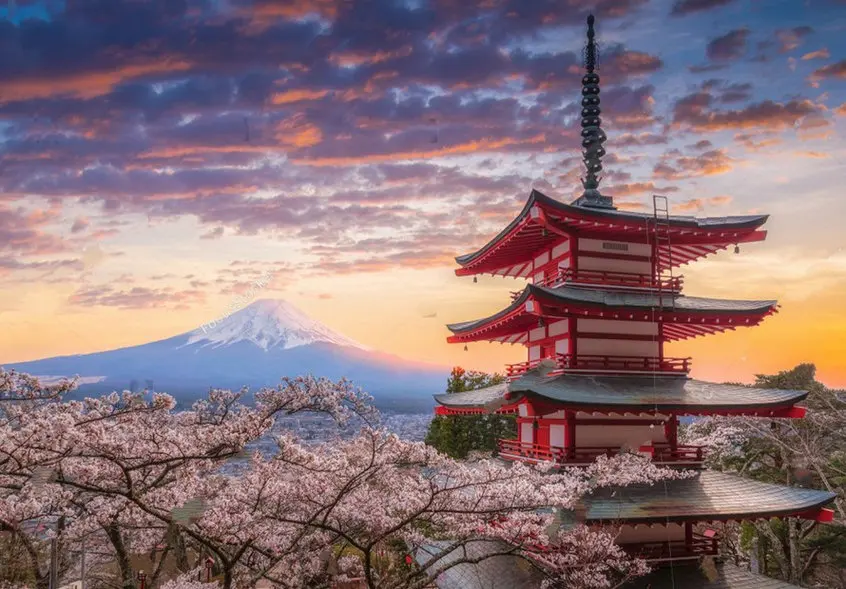 pagoda Mount Fujisan Landscapes Sunset Snowy Mountain Tree background   Computer print wall photo backdrop