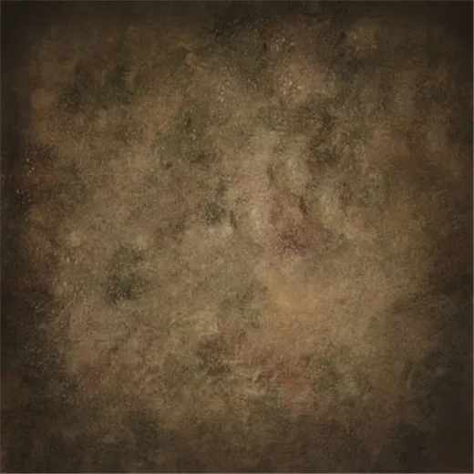 

10x10FT Dim Grey Saddle Brown Wall Costume Portrait Photography Backdrops Studio Backgrounds Custom Vinyl 3x3m Abstract Concrete