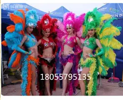 Feather Dacne Dress Women Samba Costumes Flamenco Carnival Opening Stage Show Sexy 18