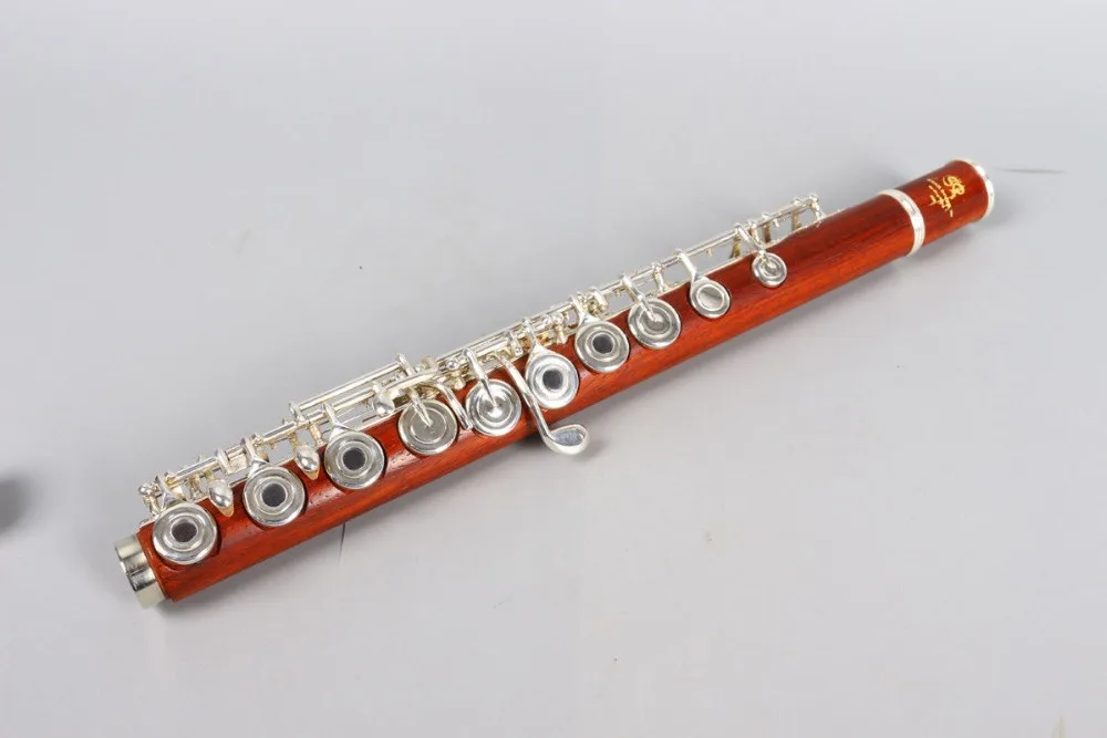 Yinfente New flute 17 hole Open Silver Plated Key E key B Foot Professional rosewood body With Case