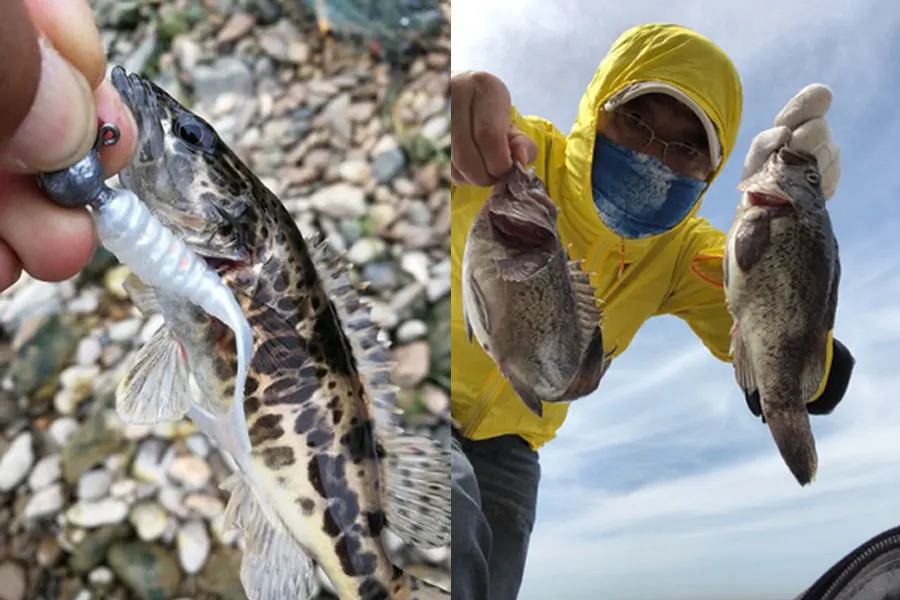 Señuelo de gusano de sílice, cebo de goma suave, 6cm, 20 piezas, aparejos de pesca para agua de mar y agua dulce