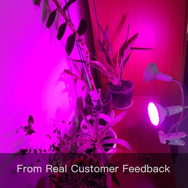 LED Grow Light Full Spectrum Phytolight Phyto Lamp E27 PhytoLamps For Indoor Flowers Vegetables Plant Tent Box Seedlings Seeds