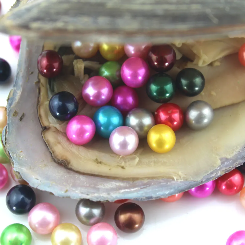 

New Arrival mix 25colors Natural Freshwater Pearls One Pearl Beads in One Pearl Oysters Birthday Jewelry Women Gifts EE044